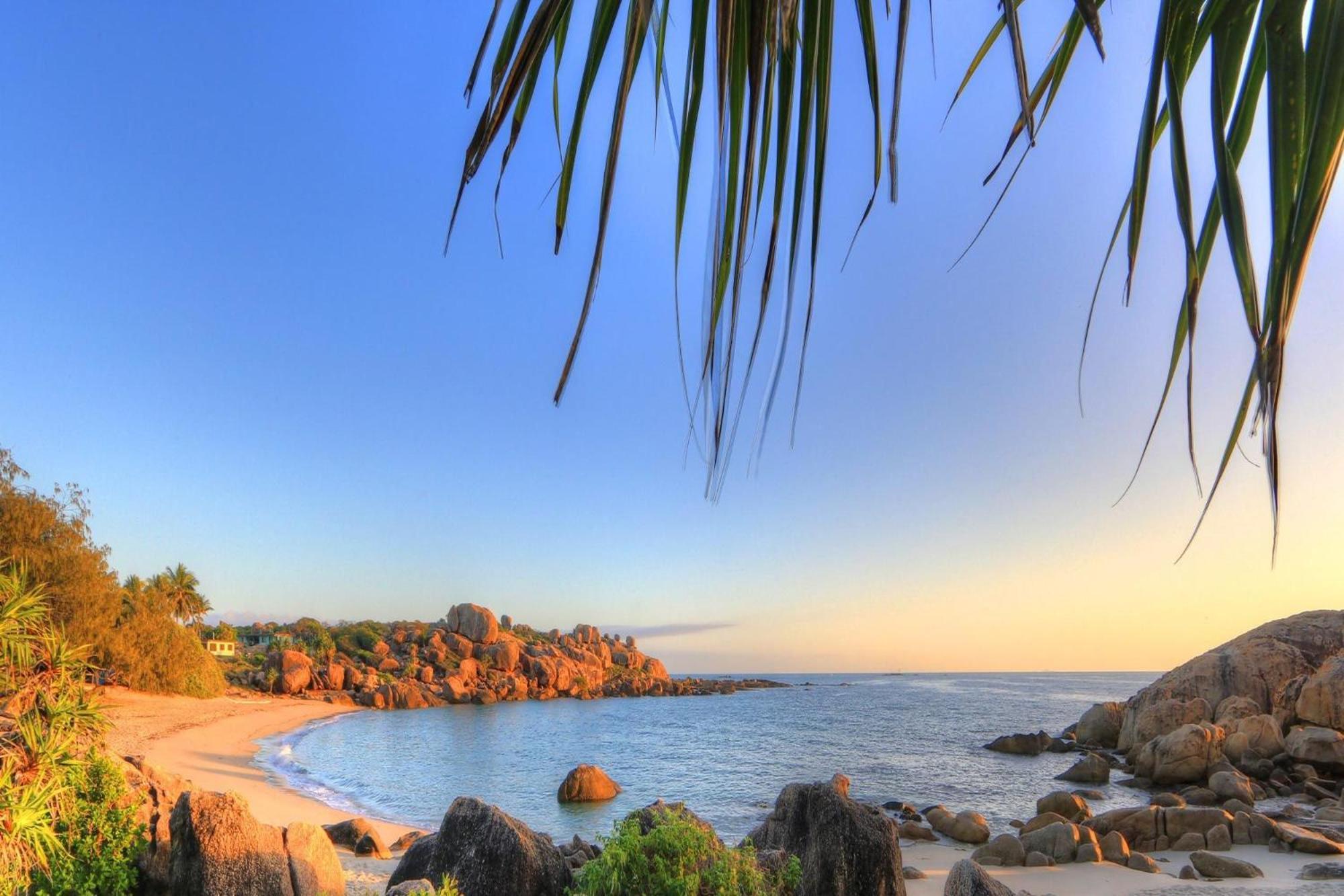 Coral Cove Apartments - Absolute Beachfront Resort בואוון מראה חיצוני תמונה